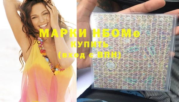 МДПВ Богородск