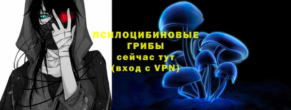 прущие крисы Верхний Тагил