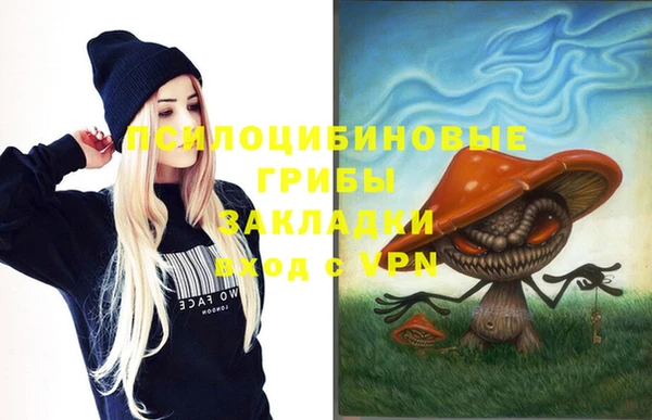 дмт Верея