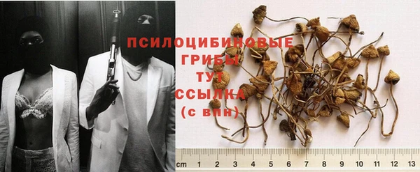 ПСИЛОЦИБИНОВЫЕ ГРИБЫ Белокуриха