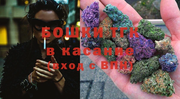 гашиш Богданович