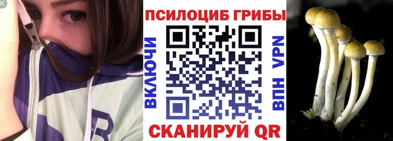 где найти   Дорогобуж  Галлюциногенные грибы MAGIC MUSHROOMS 
